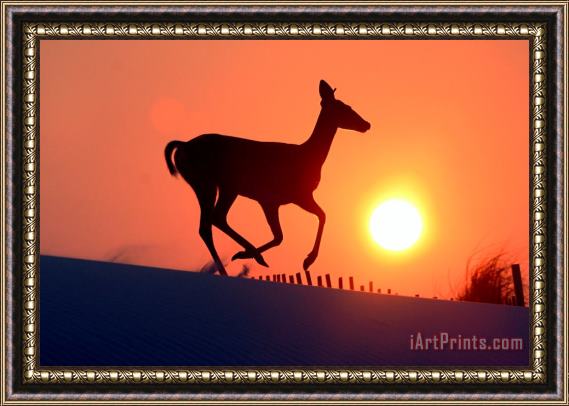 Collection 14 Into The Sunset Framed Print