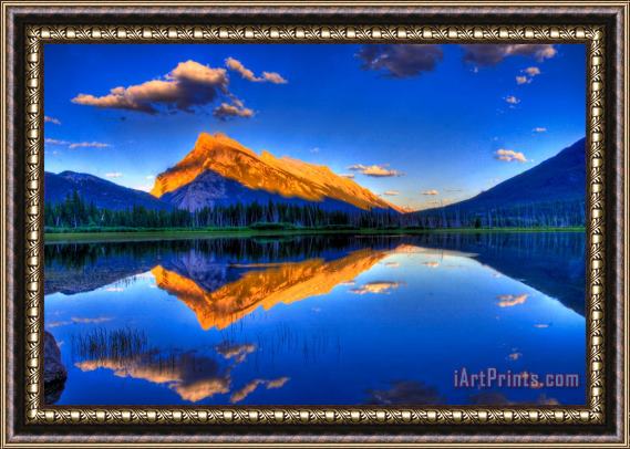 Collection 14 Life's Reflections Framed Print