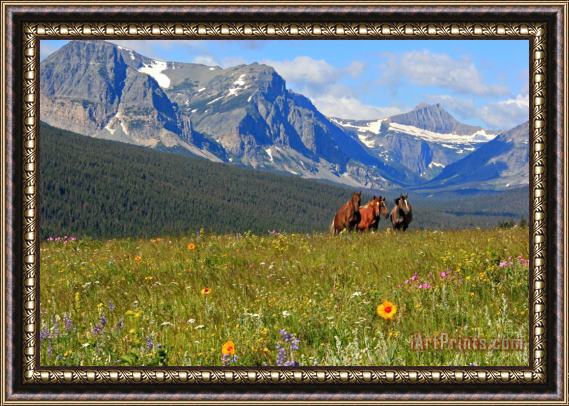 Collection 14 Montana Horses Framed Painting
