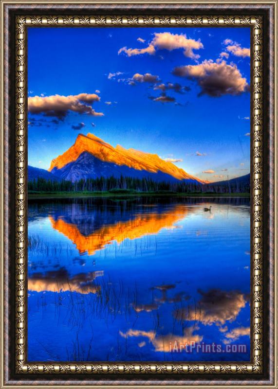 Collection 14 Of Geese and Gods Framed Print