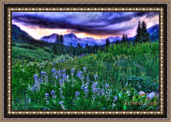 Collection 14 Purple Skies and Wildflowers Framed Painting