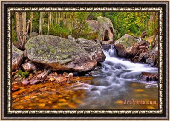 Collection 14 Rocky Mountain Stream Framed Painting