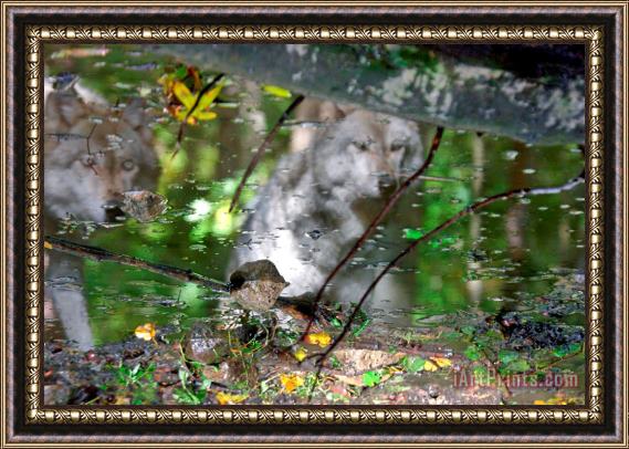 Collection 14 Spirits of Wolves Framed Painting