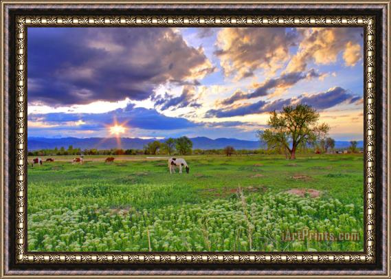 Collection 14 Spring Sunset Over The Rockies Framed Print