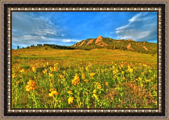 Collection 14 Spring Vision Framed Painting
