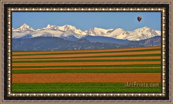 Collection 14 Stripped Fields and Balloon Framed Print