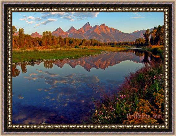 Collection 14 Teton Wildflowers Framed Painting