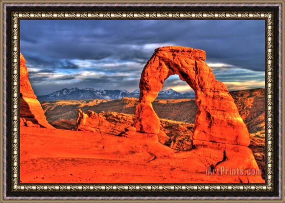 Collection 14 The Arches Eye Framed Print