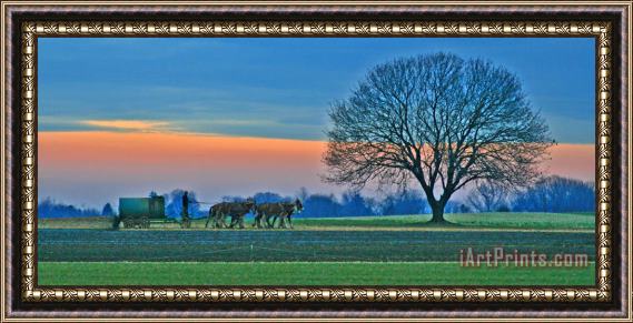 Collection 14 Through The Fields Framed Print