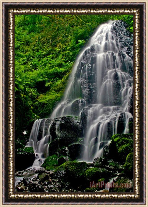 Collection 14 Tiered Falls Framed Print