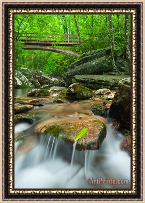 Collection 3 Blue Ridge Mountain Stream Framed Painting