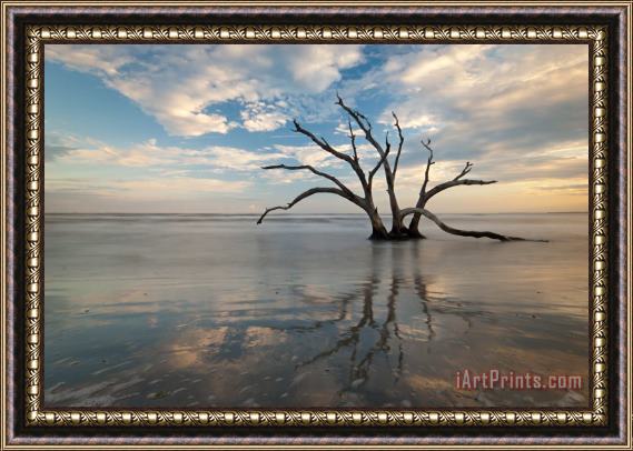 Collection 3 Charleston Tree in Ocean Surf Framed Painting