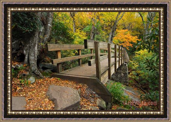 Collection 3 Footbridge Blue Ridge Mountains Framed Painting