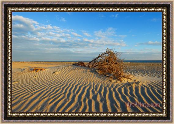Collection 3 Hatteras Sands of Time Framed Painting