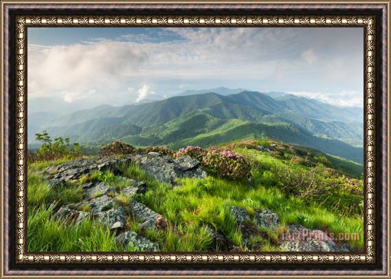 Collection 3 Majestic Blue Ridge Mountains Framed Painting