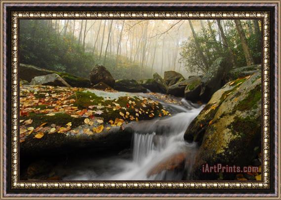 Collection 3 Mystical Blue Ridge Forest Framed Painting