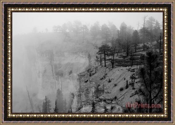 Collection 6 Bryce Canyon Fog Framed Print