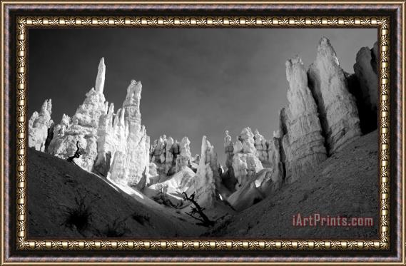 Collection 6 Bryce Canyon Infrared Framed Print