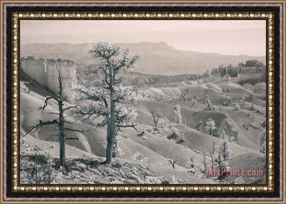 Collection 6 Bryce Canyon Infrared Framed Painting
