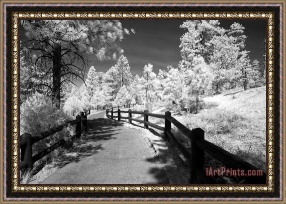 Collection 6 Bryce Canyon Trail Framed Painting