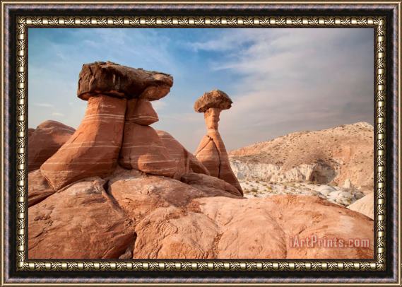 Collection 6 Desert Toadstool Hoodoos Framed Print