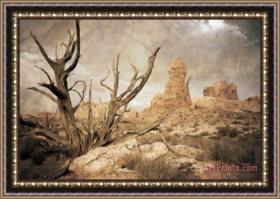 Collection 6 Desert Tree Framed Painting