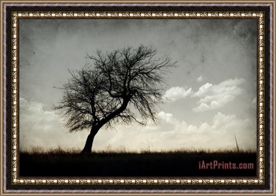 Collection 6 Lone Tree Framed Painting