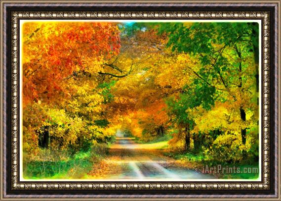 Collection 8 Autumn country lane Framed Print
