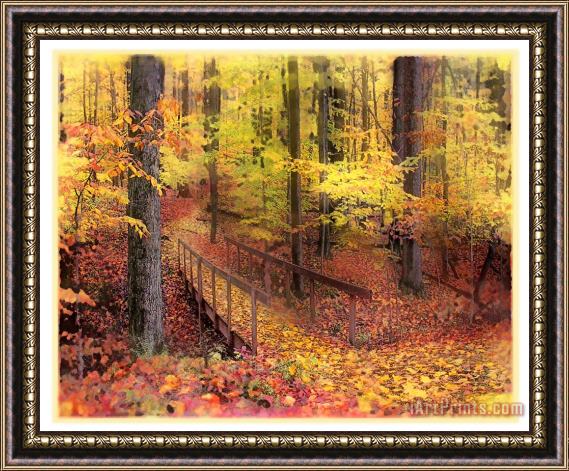 Collection 8 Autumn footbridge Framed Print
