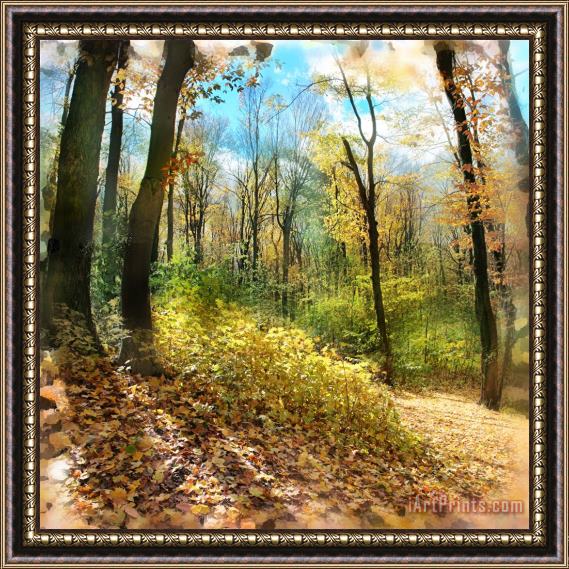 Collection 8 Autumn trail Framed Print