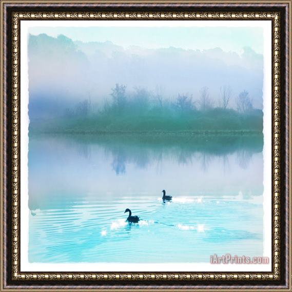 Collection 8 Calm water Framed Print