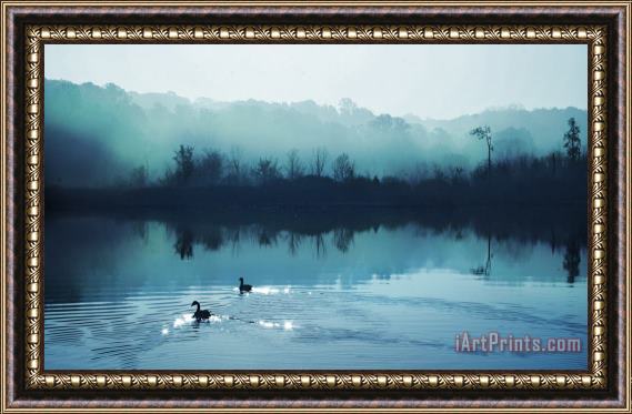 Collection 8 Calming water Framed Painting