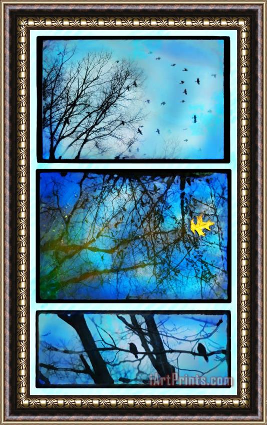 Collection 8 Cold rainy day Scenes from the garden Framed Painting