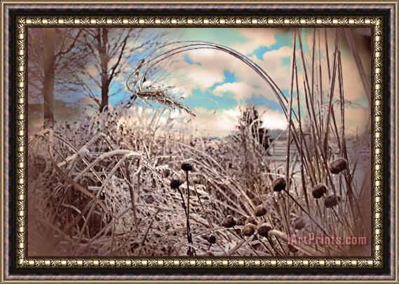 Collection 8 Frozen prairie Framed Print