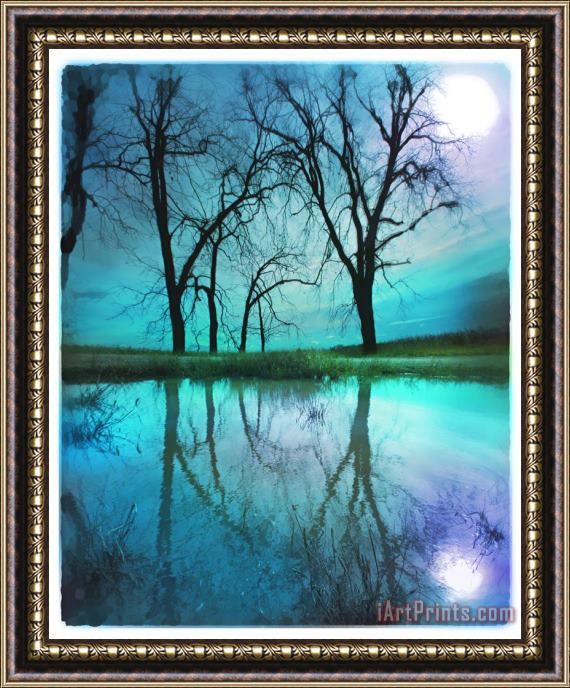 Collection 8 Night sky Framed Print