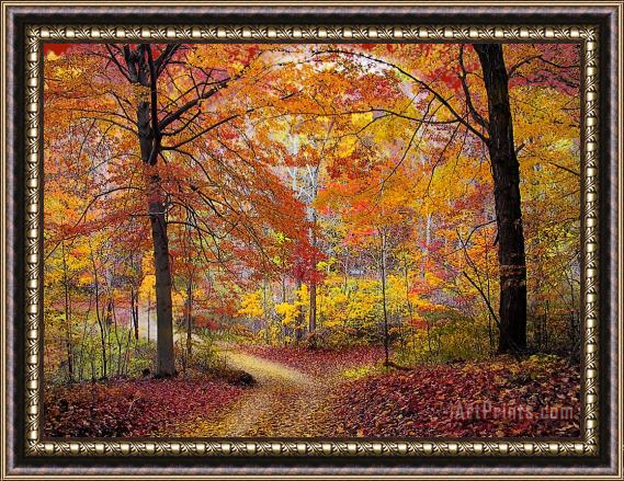 Collection 8 Soft autumn rain Framed Painting