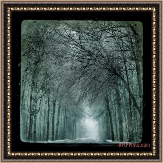 Collection 8 Winter drive Framed Print