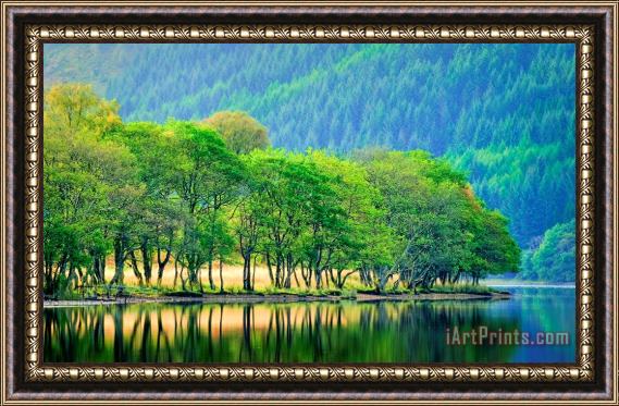 Collection Backlit waters edge on Loch Chon Trossachs Framed Print