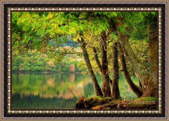 Collection Early Fall on loch Ard Framed Print