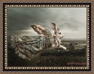 Framed Print