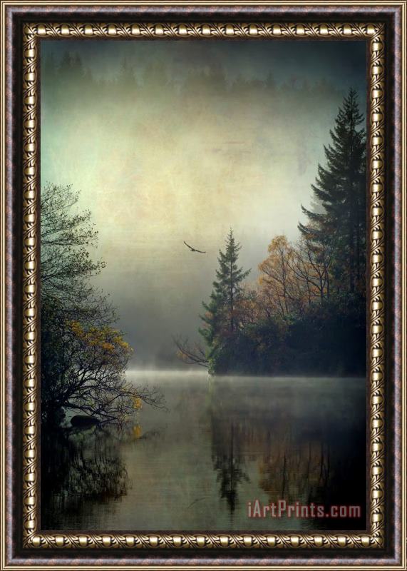Collection Osprey on Loch Ard texture and brushes Framed Painting