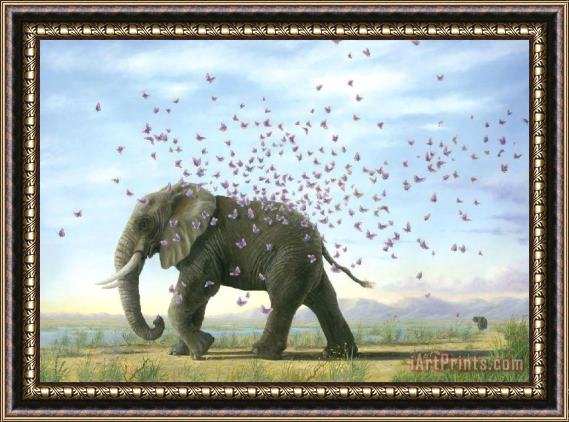 Collection The Journey by Bissell Elephant And Butterflies Framed Print