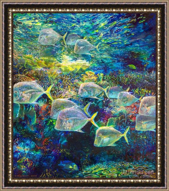Collection Underwater Fish Framed Painting