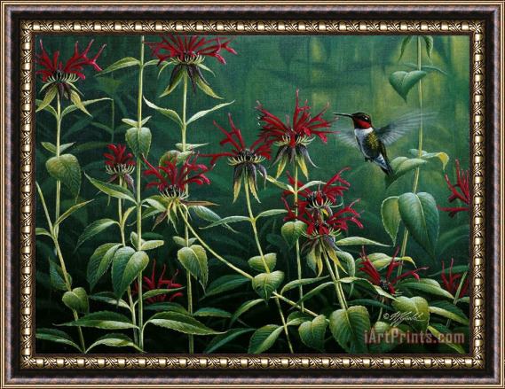 Collection Wilhelm Goebel Hummingbird Framed Painting