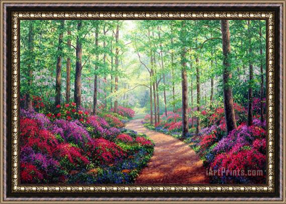 Collection Woodland Walk Framed Painting