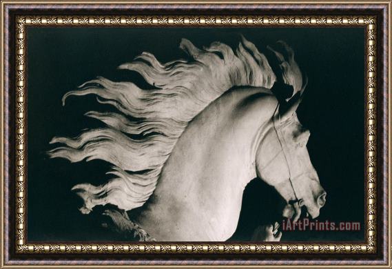 Coustou Horse of Marly Framed Painting
