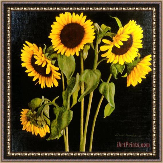 David Hardy Sunflowers Framed Print