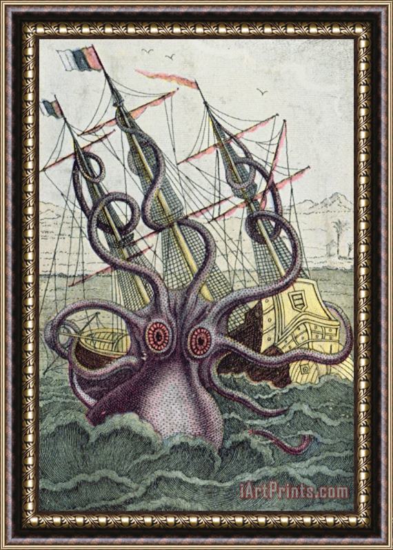 Denys Montfort Giant Octopus Framed Painting
