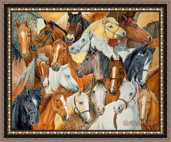 Ditz Horse Blanket Framed Print