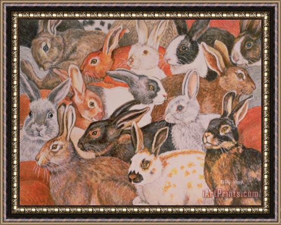 Ditz Rabbit Spread Framed Painting